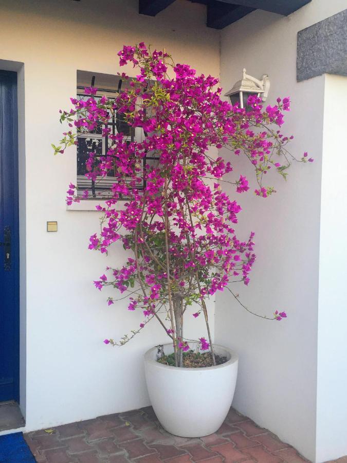 Haritza Bed & Breakfast Anglet Dış mekan fotoğraf